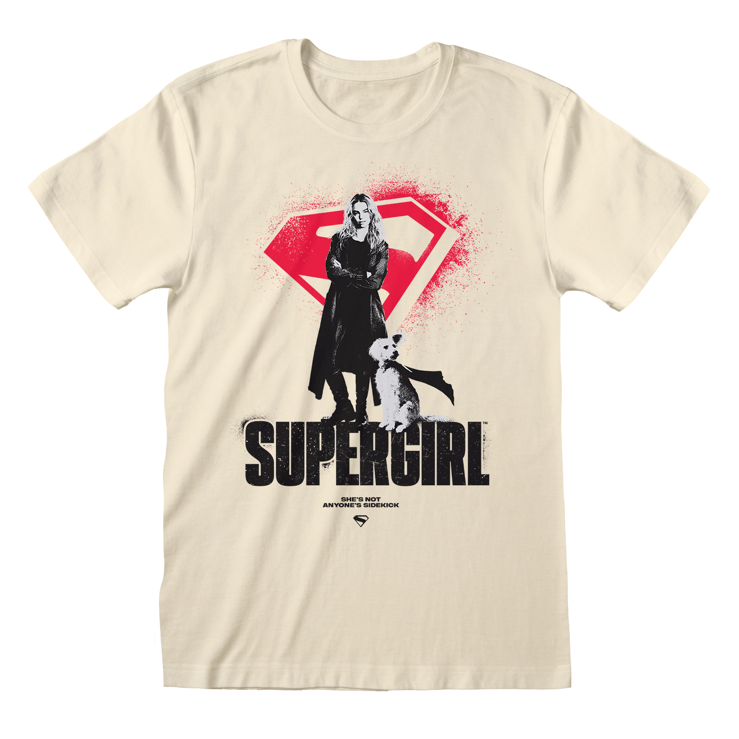 NOT ANYONES SIDEKICK T-SHIRT