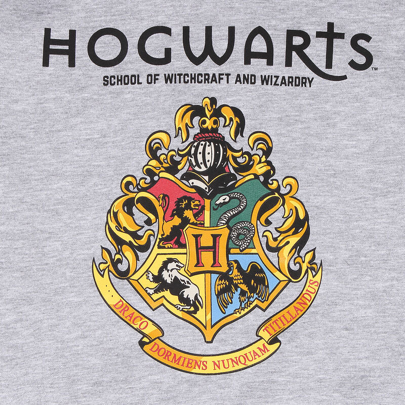 Harry Potter - Hogwarts Crest (Contrast Pullover) - Super Heroes Collection - Pullover Hoodie